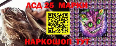 молекула духа Пугачёв