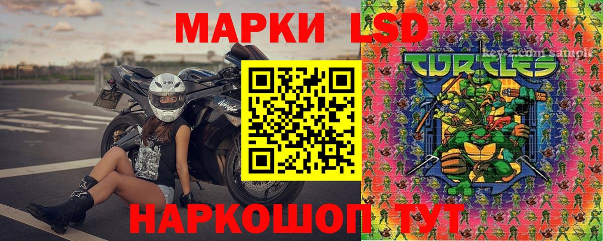 Марки N-bome 1500мкг Россия