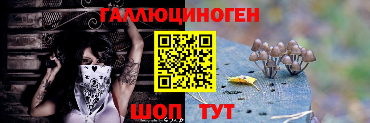 Галлюциногенные грибы мицелий Россия